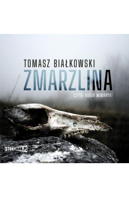 Zmarzlina audiobook