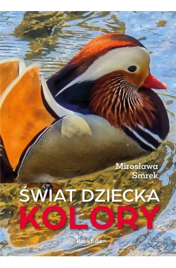 Świat dziecka. Kolory