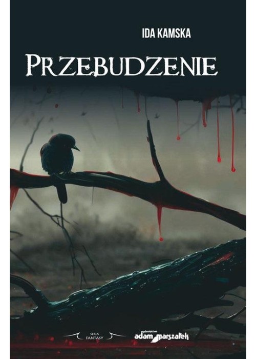 Przebudzenie