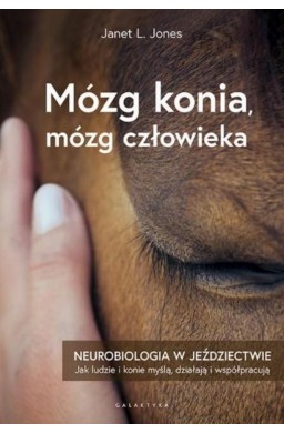 Mózg konia, mózg człowieka