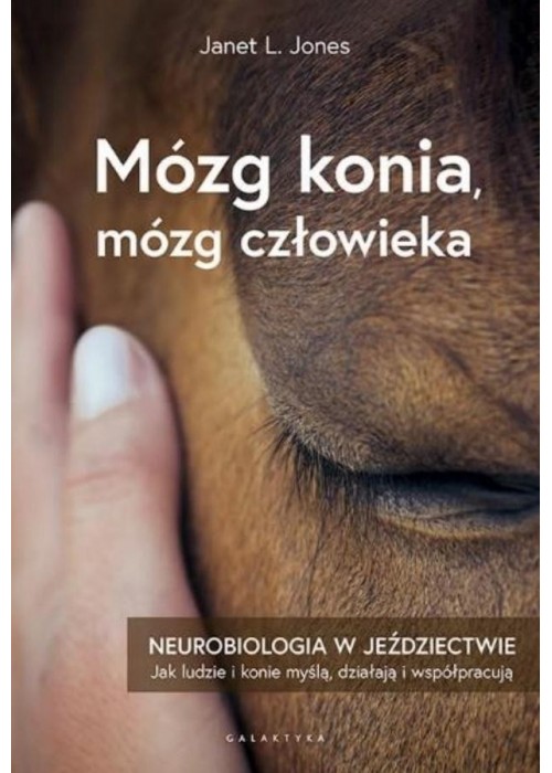 Mózg konia, mózg człowieka