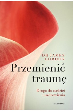 Przemienić traumę. Droga do nadziei i uzdrowienia