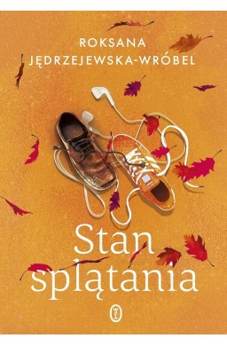 Stan splątania