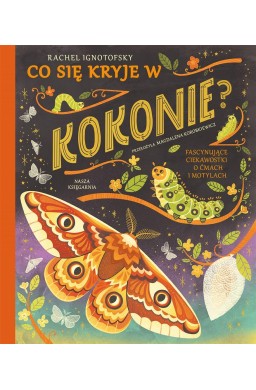 Co się kryje w kokonie? Fascynujące ciekawostki..