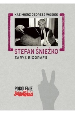 Stefan Śnieżko: Zarys biografii