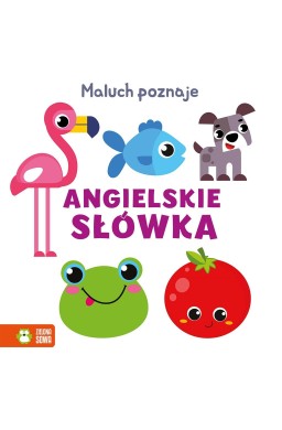 Maluch poznaje. Angielskie słówka