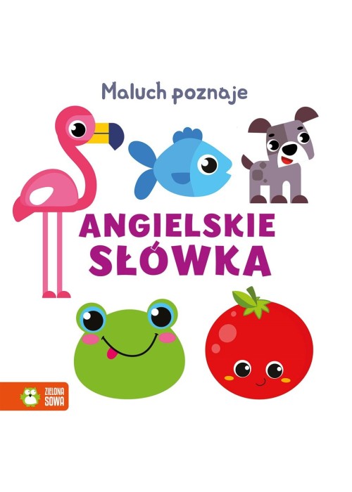 Maluch poznaje. Angielskie słówka