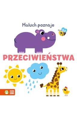 Maluch poznaje. Przeciwieństwa