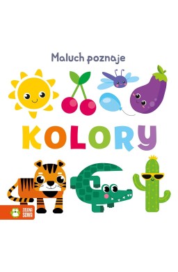 Maluch poznaje. Kolory