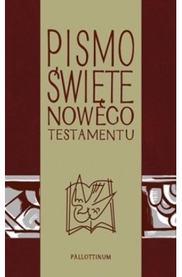 Pismo Świete - NT z ilustracjami