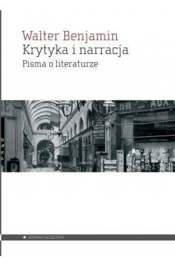 Krytyka i narracja. Pisma o literaturze