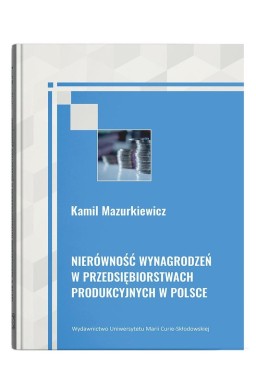 Nierówność wynagrodzeń w przedsiębiorstwach..