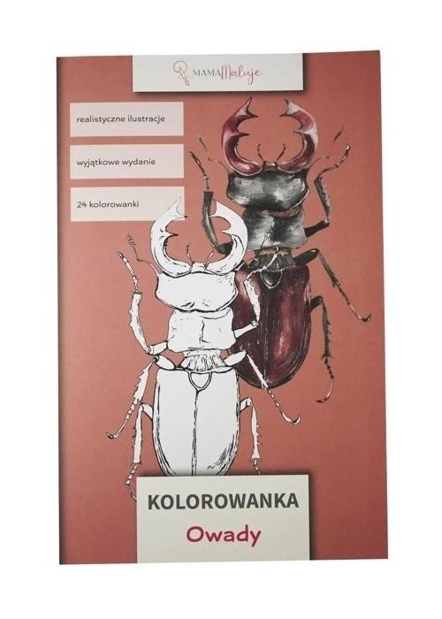 Kolorowanka Owady