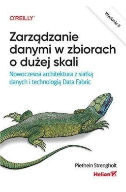 Zarządzanie danymi w zbiorach o dużej skali