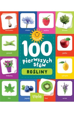 100 pierwszych słów z naklejkami. Rośliny