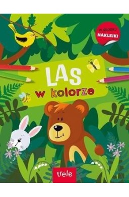 W kolorze. Las