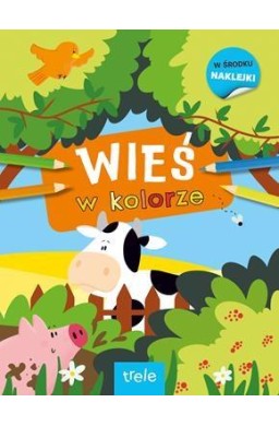 Wieś. W kolorze