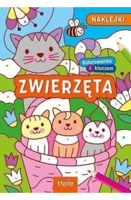 Kolorowanki z kluczem. Zwierzęta