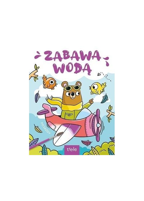 Pojazdy. Zabawa wodą