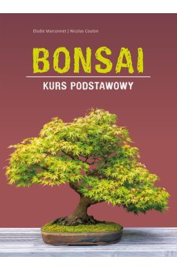 Bonsai - kurs podstawowy