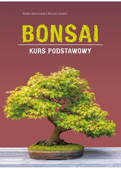 Bonsai - kurs podstawowy