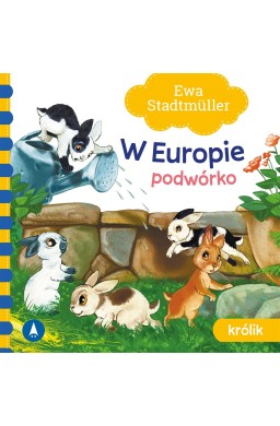 W Europie. Podwórko. Królik