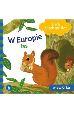 W Europie. Las. Wiewiórka