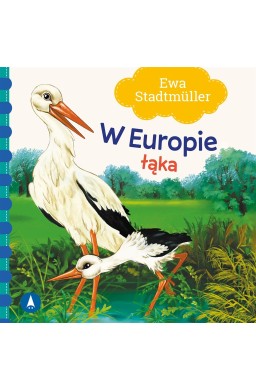 W Europie. Łąka