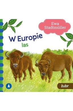 W Europie. Las. Żubr