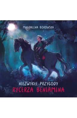 Niezwykłe przygody rycerza Beniamina