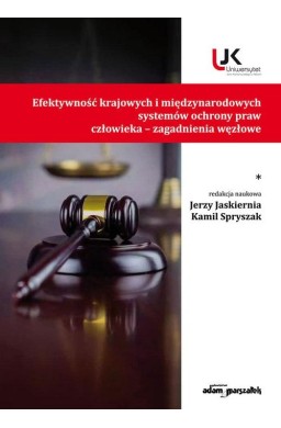 Efektywność krajowych i międzynarodowych... T.1