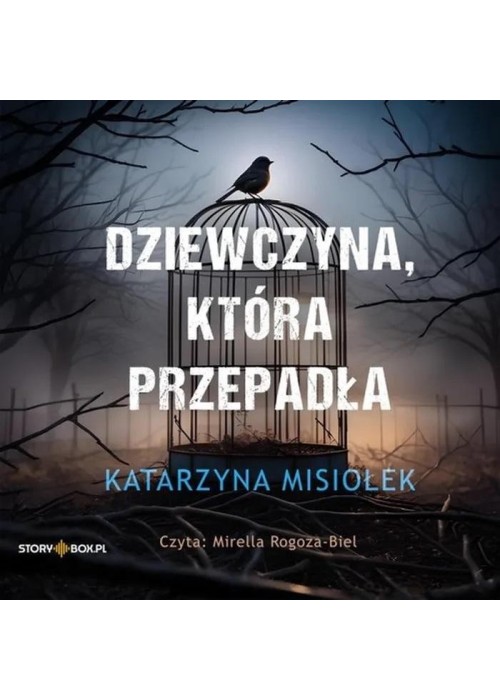 Dziewczyna, która przepadła audiobook