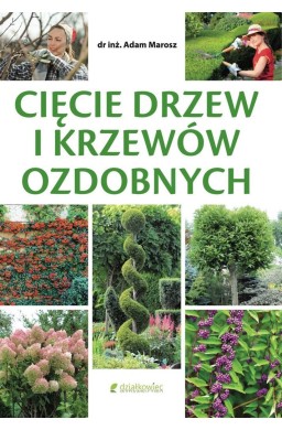 Cięcie drzew i krzewów ozdobnych