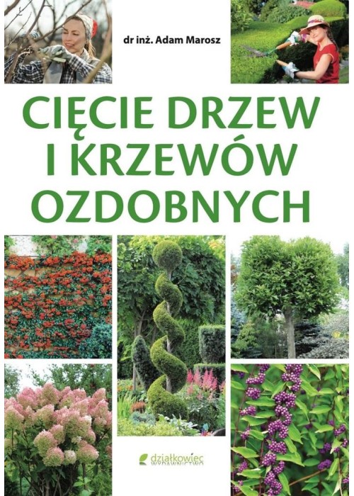 Cięcie drzew i krzewów ozdobnych