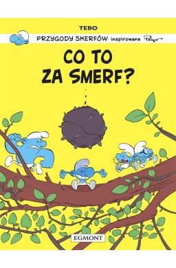 Smerfy. Co to za Smerf?