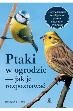 Ptaki w ogrodzie - jak je rozpoznawać