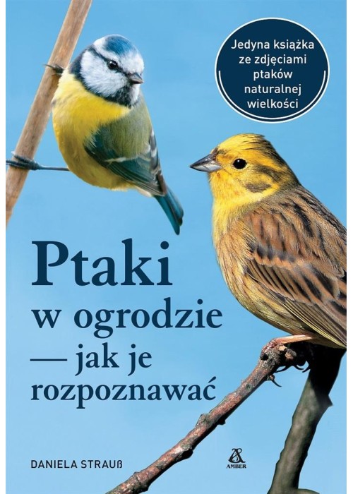 Ptaki w ogrodzie - jak je rozpoznawać