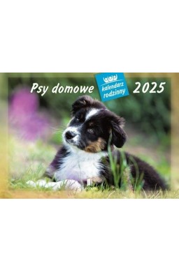 Kalendarz 2025 Rodzinny Psy domowe