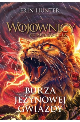 Burza Jeżynowej Gwiazdy. Wojownicy