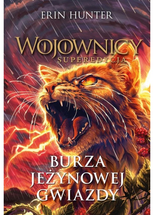 Burza Jeżynowej Gwiazdy. Wojownicy