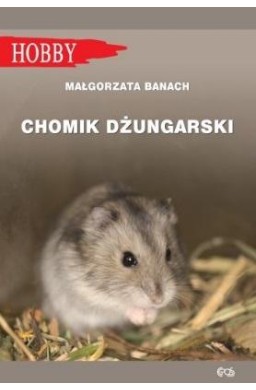 Chomik Dżungarski