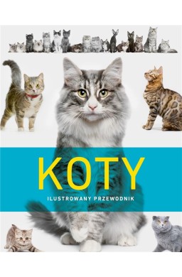 Koty. Ilustrowany przewodnik