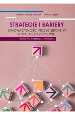 Strategie i bariery innowacyjności przedsiębiorstw