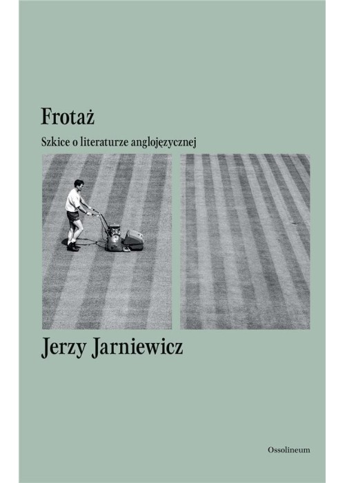 Frotaż. Szkice o literaturze anglojęzycznej