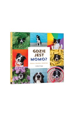 Gdzie jest Momo?