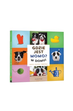 Gdzie jest Momo? W domu!