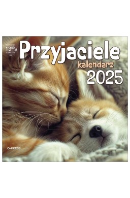 Kalendarz 2025 Ścienny Pzyjaciele