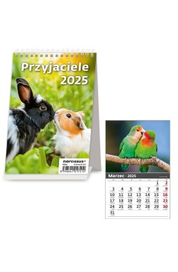 Kalendarz 2025 biurkowy Przyjaciele HELMA