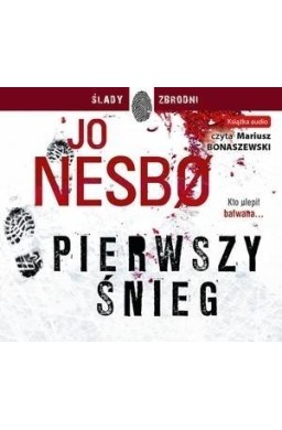 Pierwszy śnieg. Audiobook