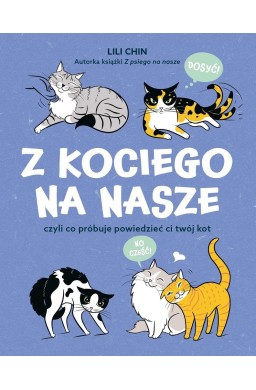 Z kociego na nasze. czyli co próbuje powiedzieć..